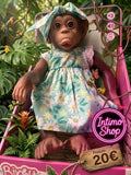 SCIMIETTA MIMI'